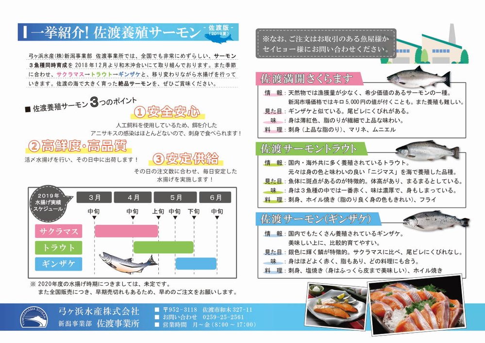縮小：一挙紹介！佐渡養殖サーモン紹介チラシ（佐渡版）.jpg