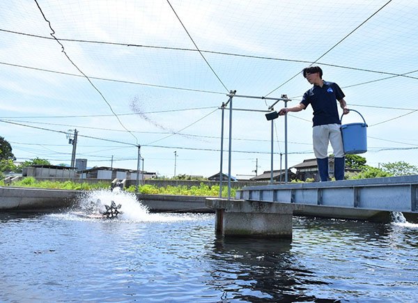 サーモンを育てる想い