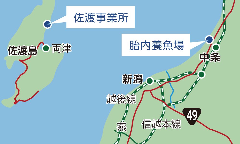 新潟県佐渡市 両津湾 生産場所 地図