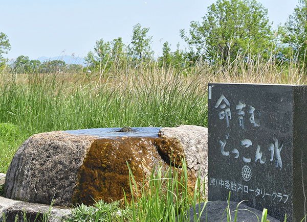 新潟県の名水「どっこん水」