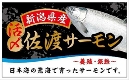 新潟県産 活〆佐渡サーモン
