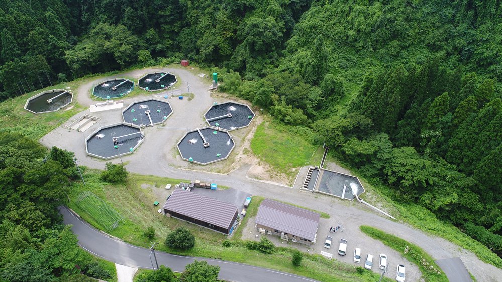 福原川養魚場