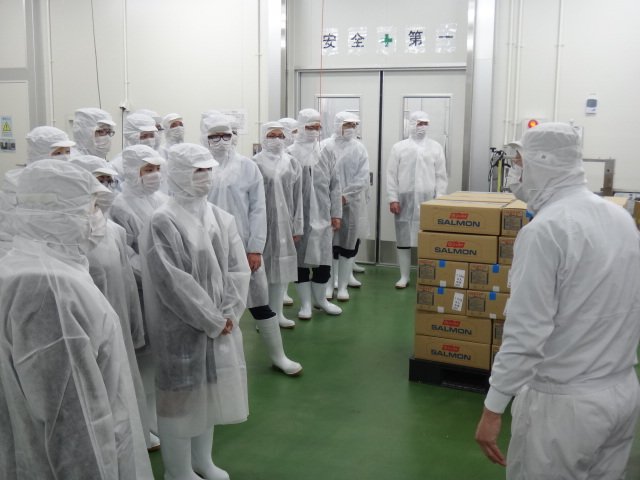 本社工場 サケ加工ラインにて